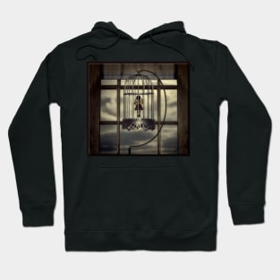 Birdcage Hoodie